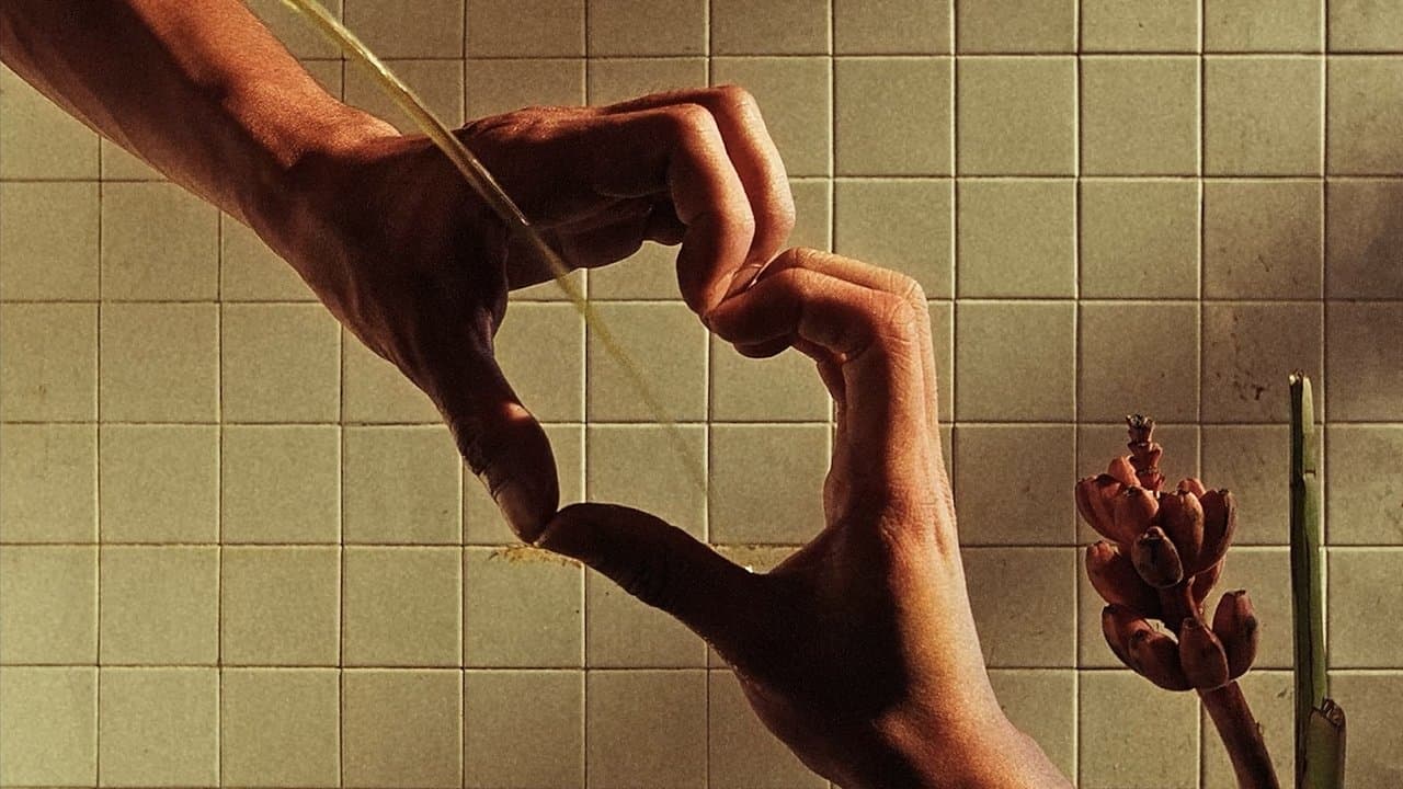 Water Sportsの背景画像