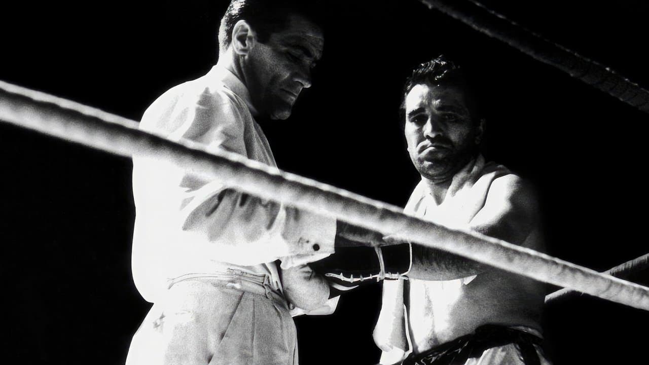 Belarminoの背景画像