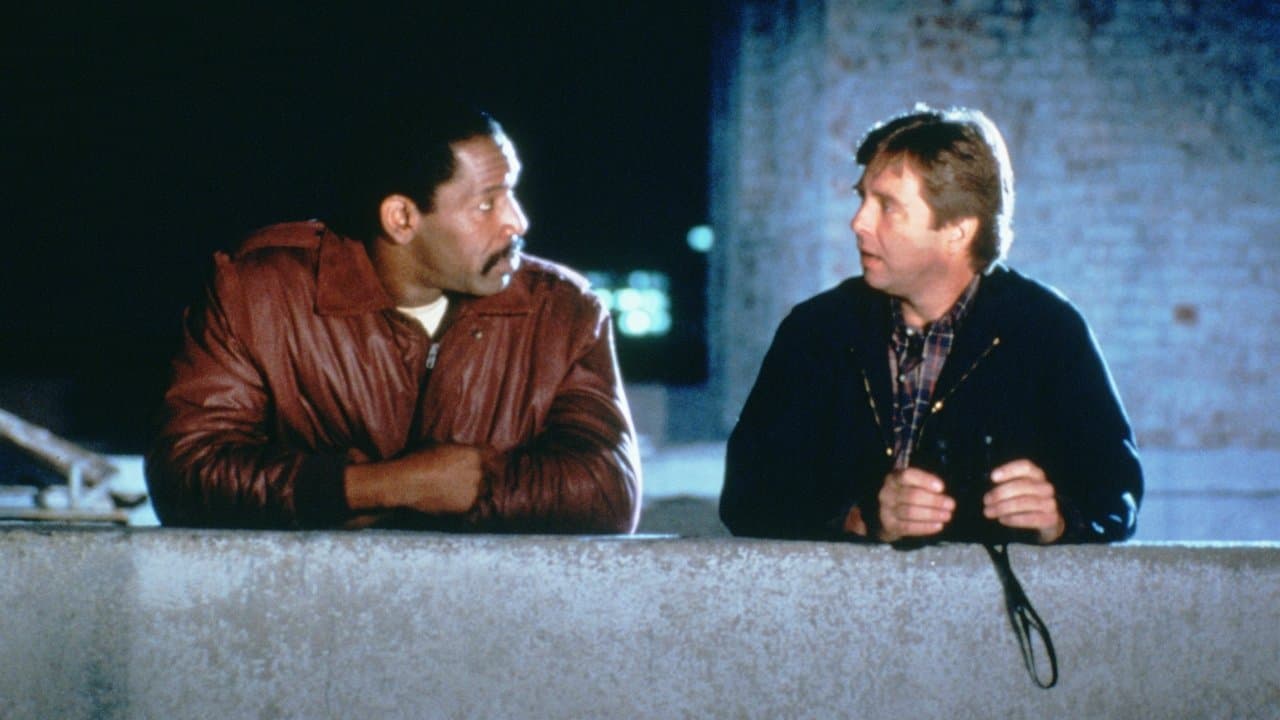 The Wild Pairの背景画像