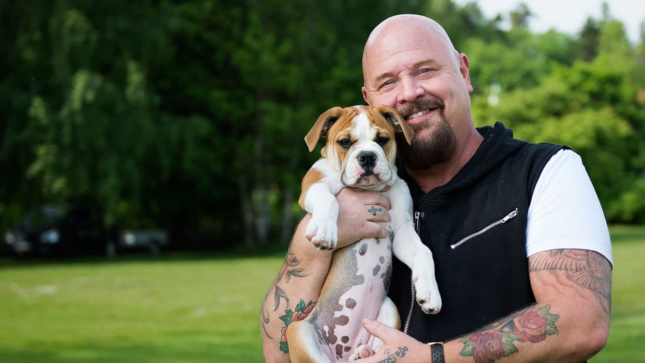 Mitt liv som valpの背景画像