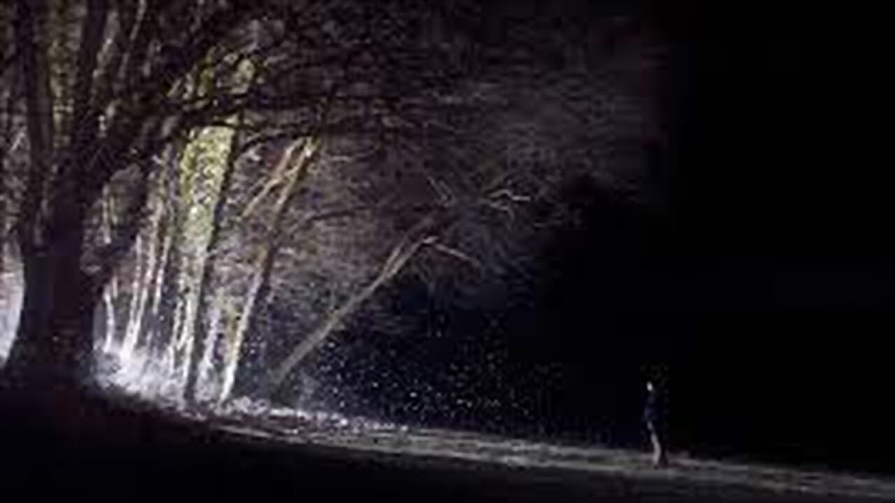 Les particulesの背景画像