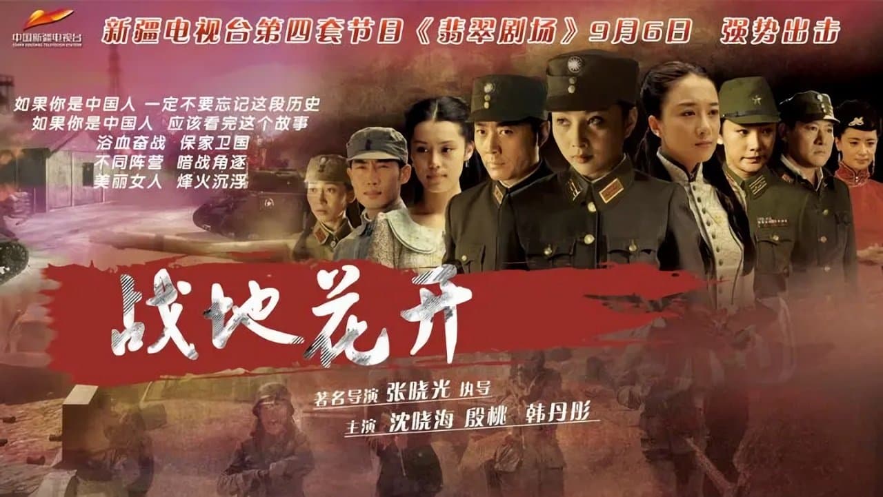 战地花开の背景画像