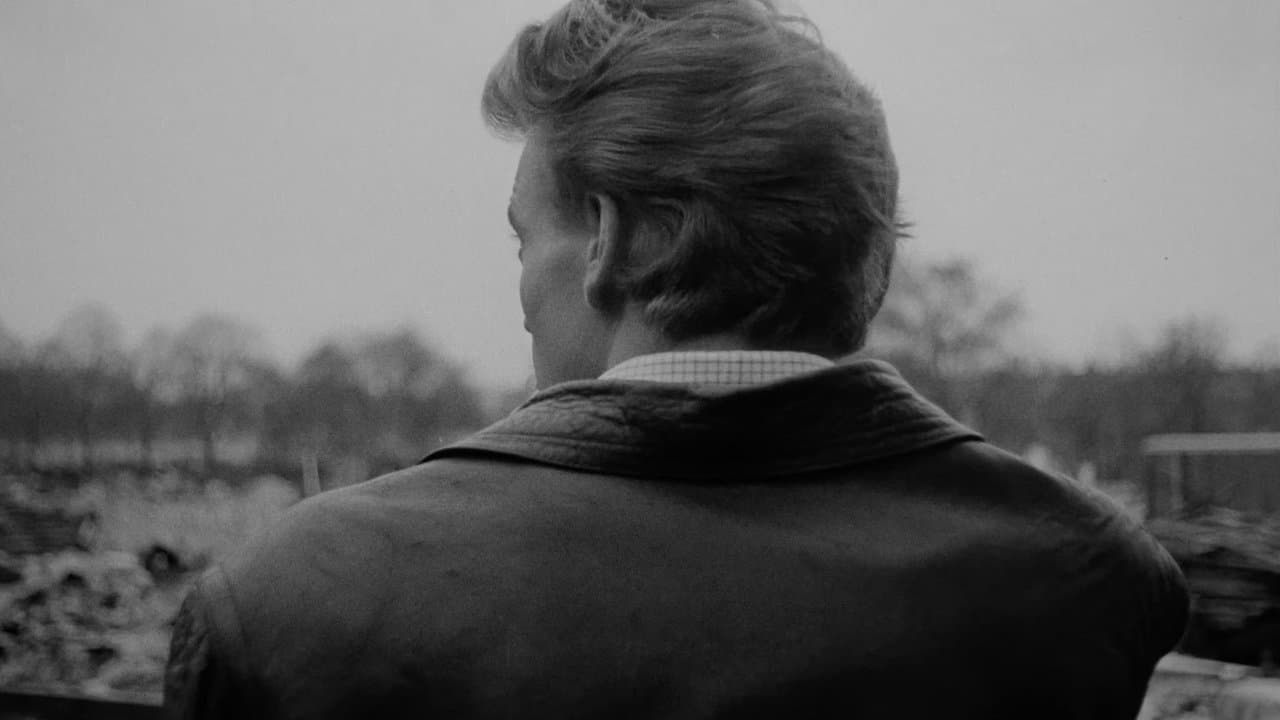 Stenbroens helteの背景画像