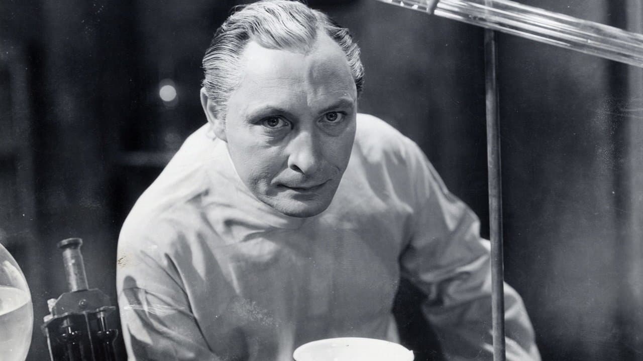 The Vampire Batの背景画像