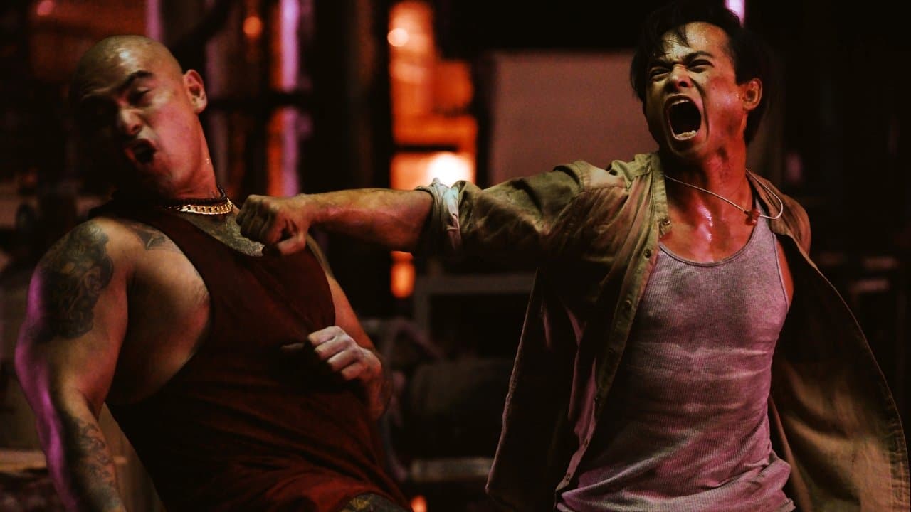 Bangkok Dogの背景画像