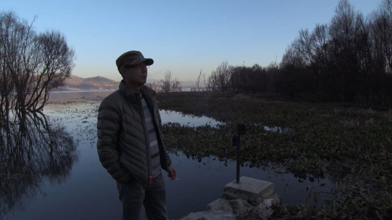 A Long Way Homeの背景画像