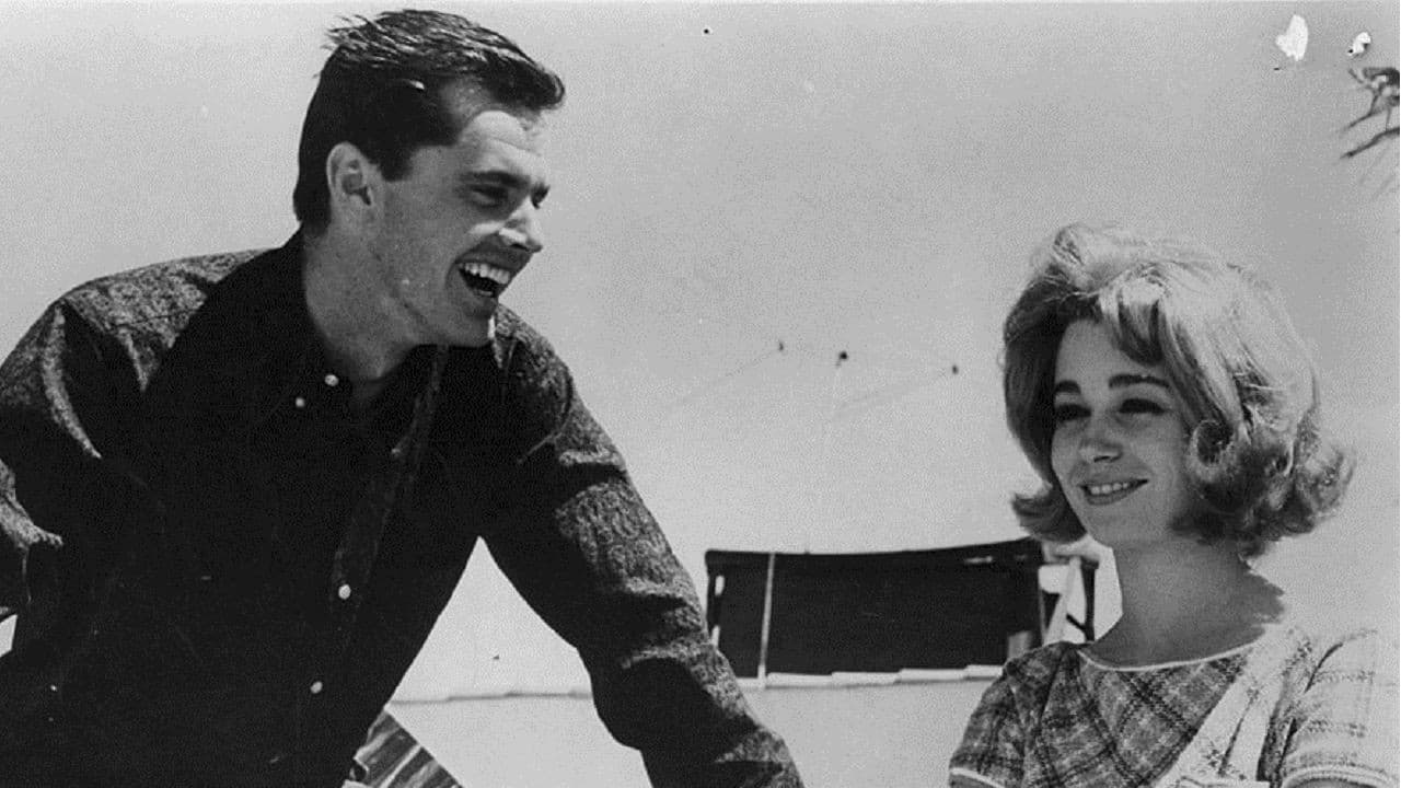 The Wild Rideの背景画像