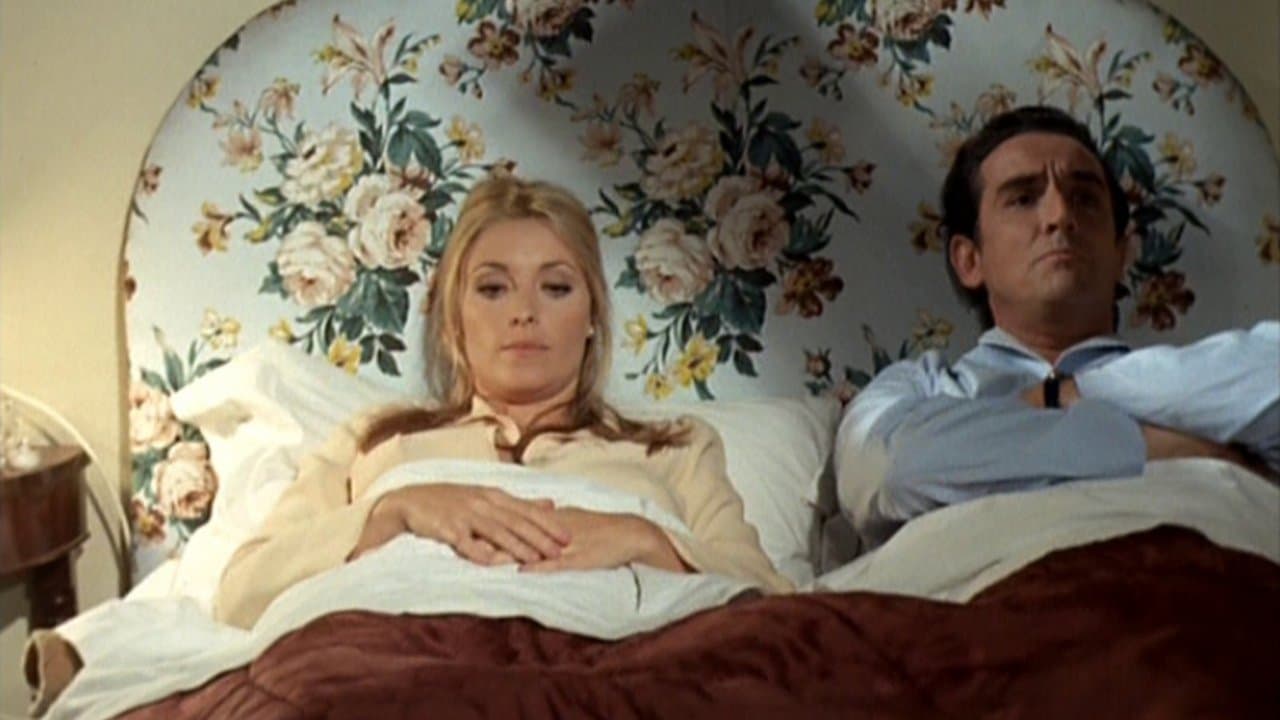 12 + 1の背景画像