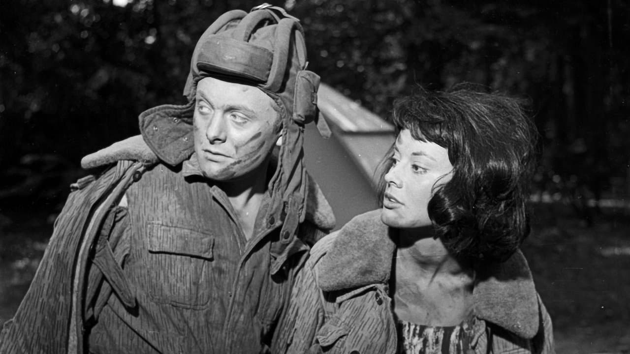 Czerwone beretyの背景画像