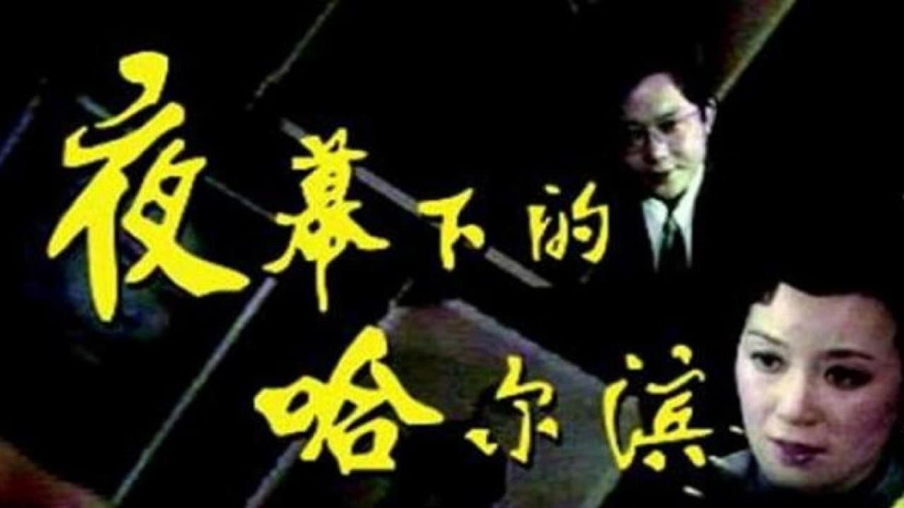 夜幕下的哈尔滨の背景画像