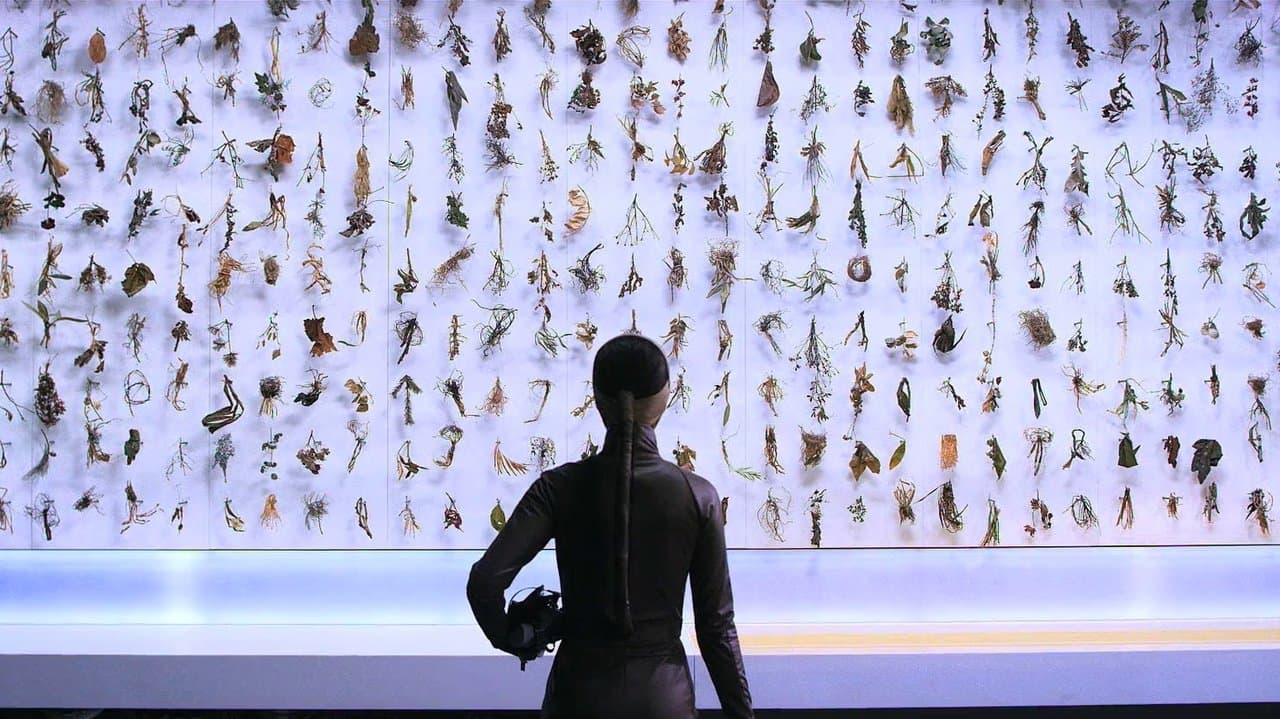 세상의 저편の背景画像