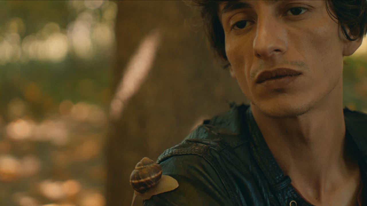 Salyangoz Odasiの背景画像