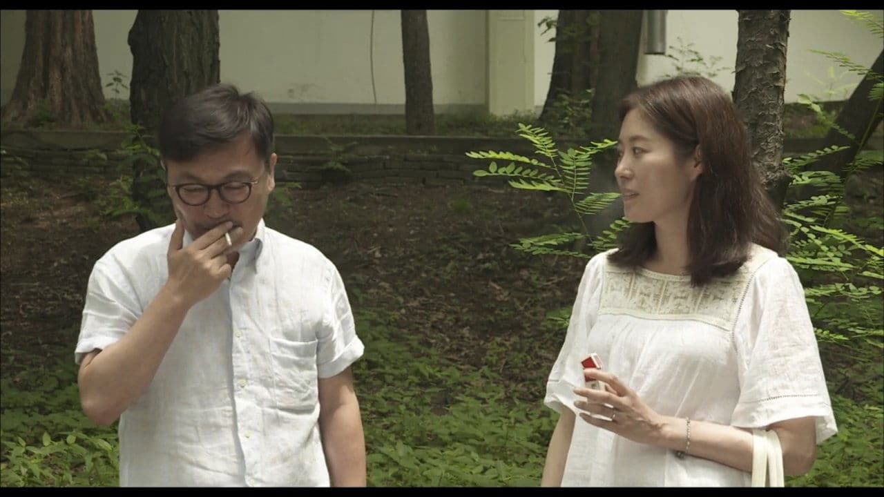 50:50の背景画像