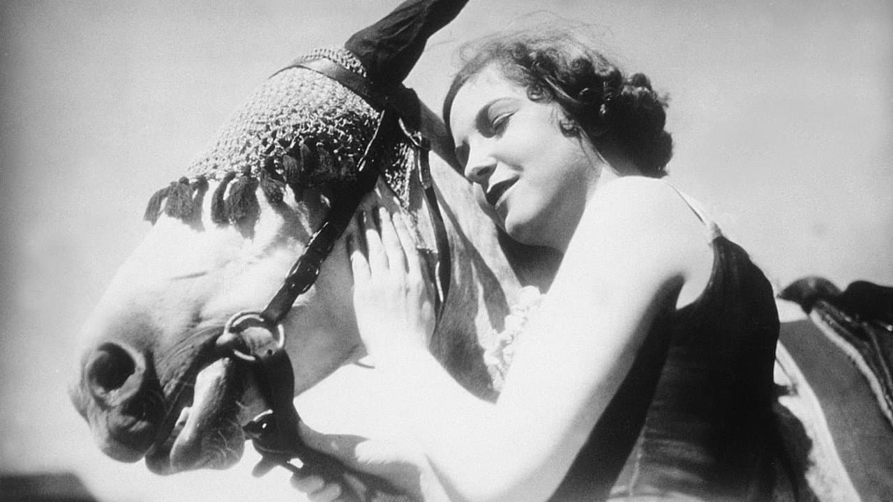 Die verkaufte Brautの背景画像