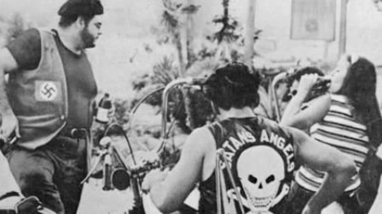 The Wild Rebelsの背景画像