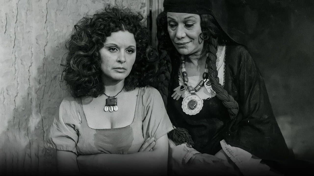 شفيقة ومتوليの背景画像