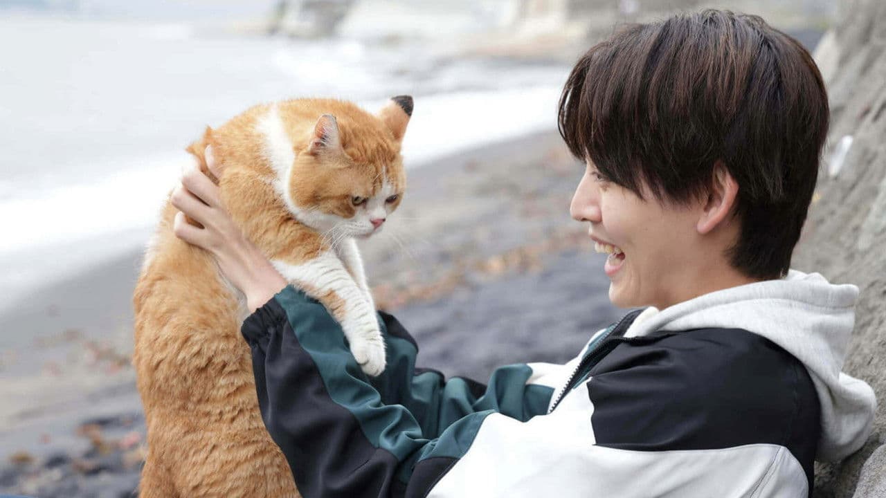 海岸通りのネコミミ探偵の背景画像