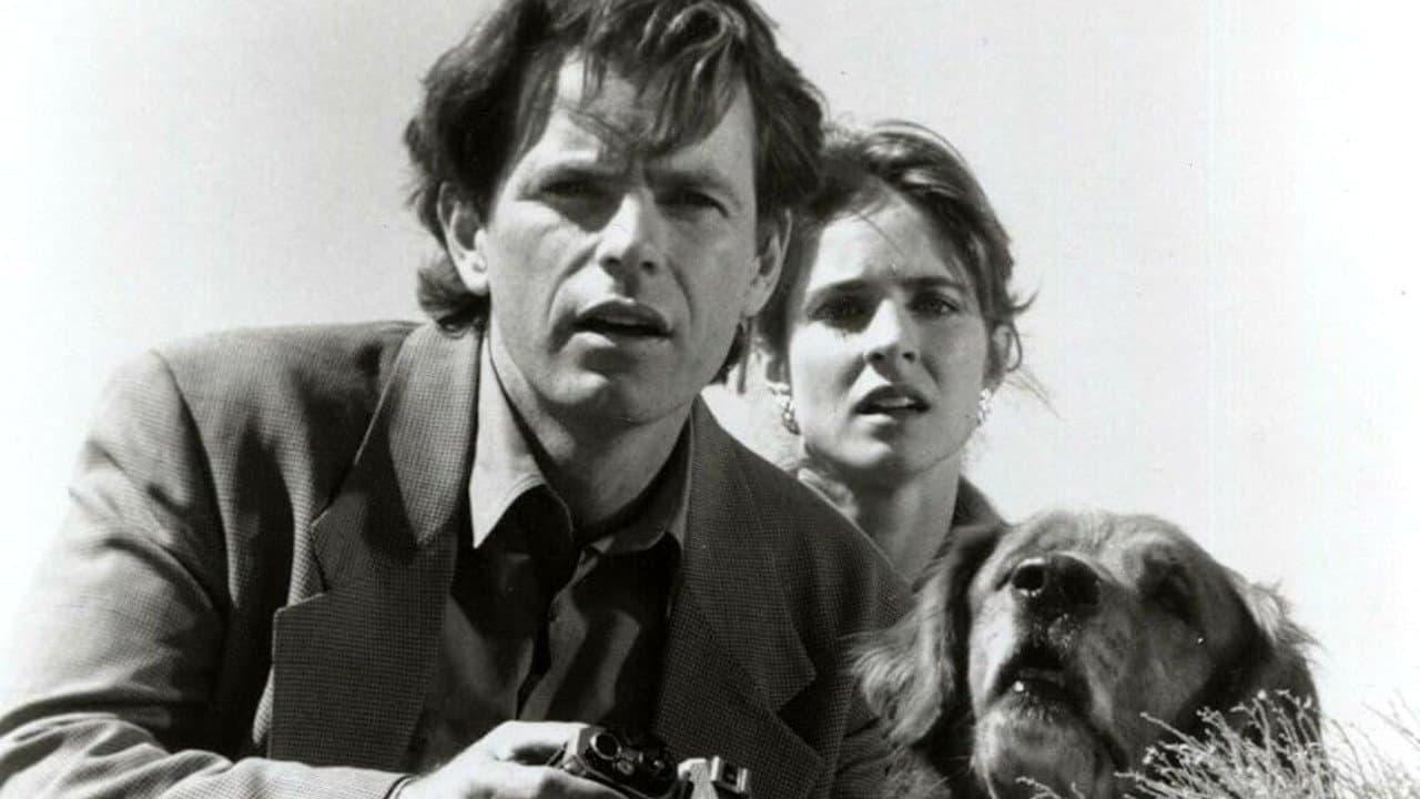 The Great Pretenderの背景画像