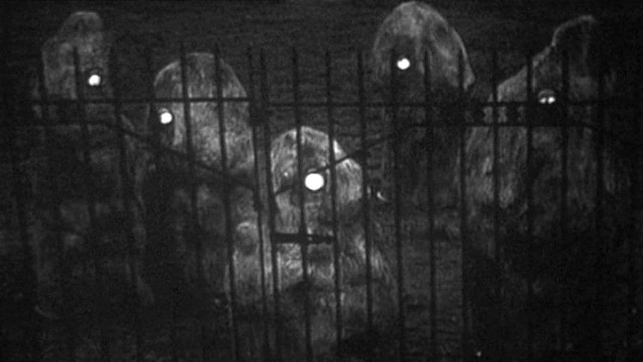 Escape Into Nightの背景画像