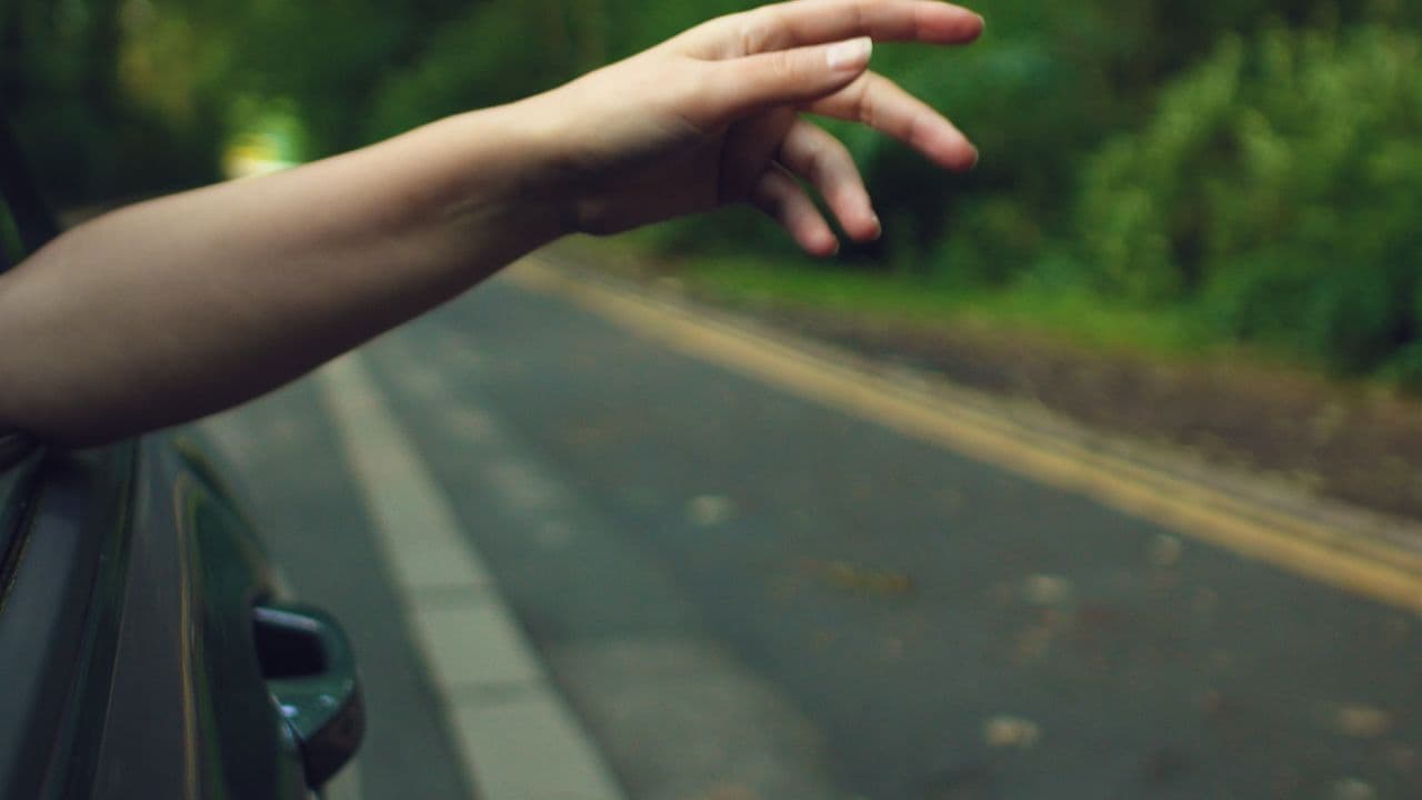 Every Kind of Fruit Bearing Treeの背景画像