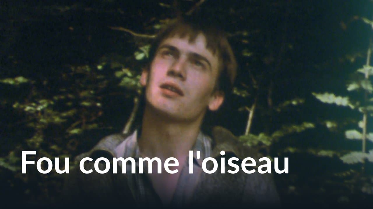 Fou comme l'oiseauの背景画像
