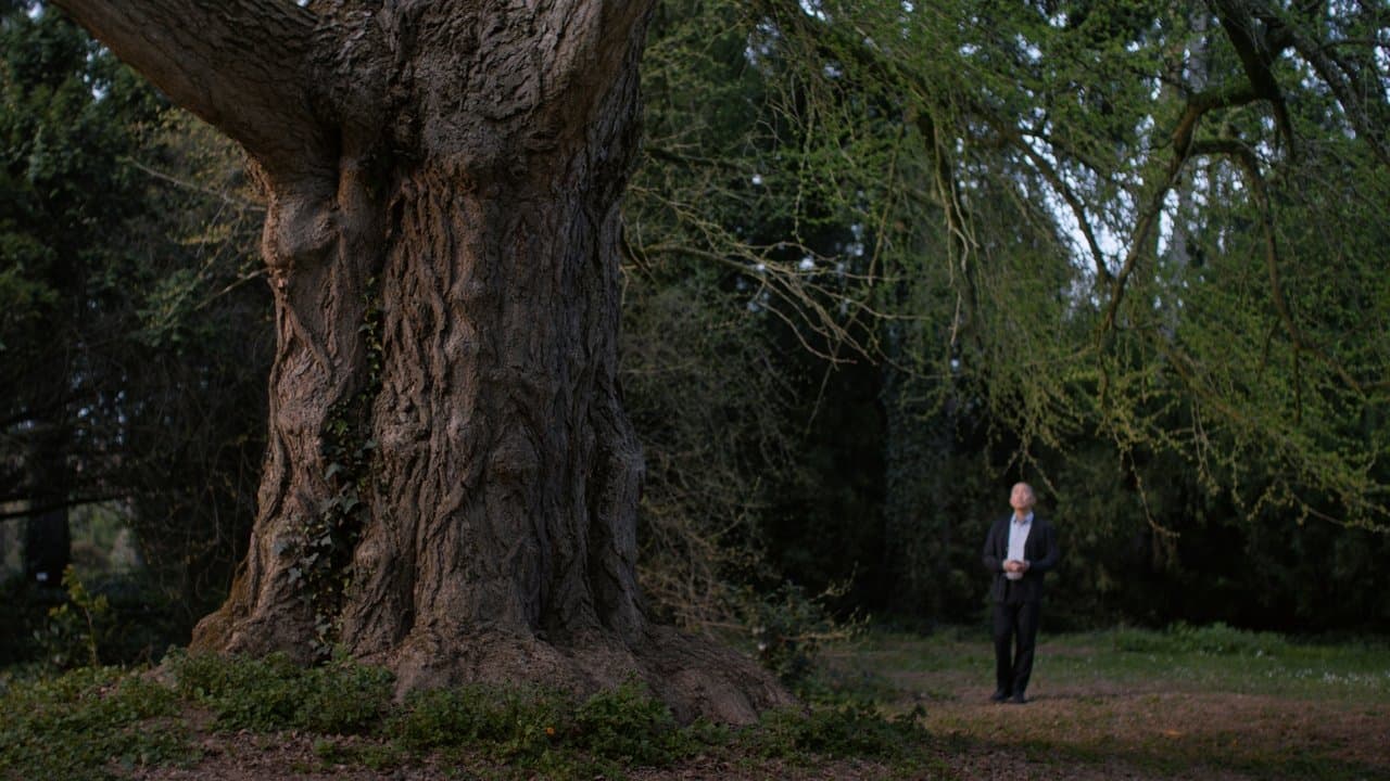 Silent Friendの背景画像