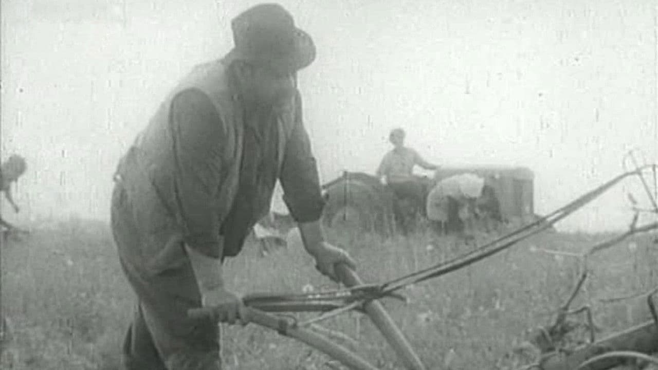 Razmeđaの背景画像