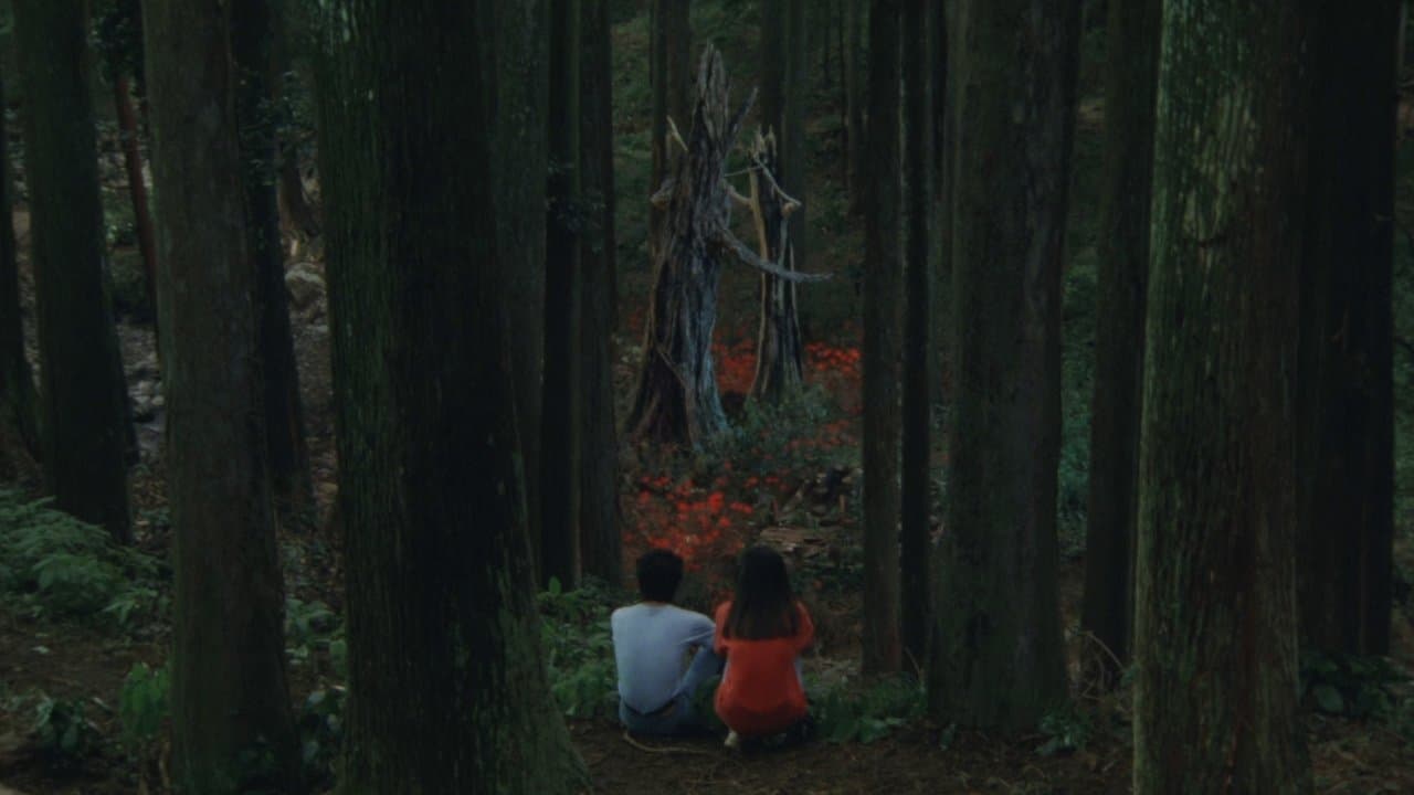 八月の狂詩曲の背景画像