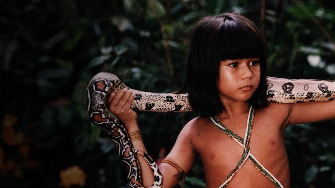 Tainá: Uma Aventura na Amazôniaの背景画像