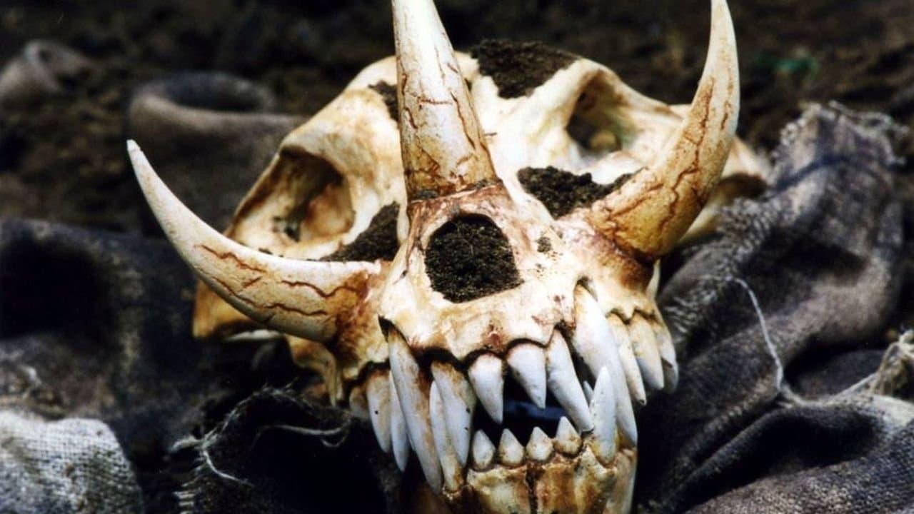 In the Woodsの背景画像