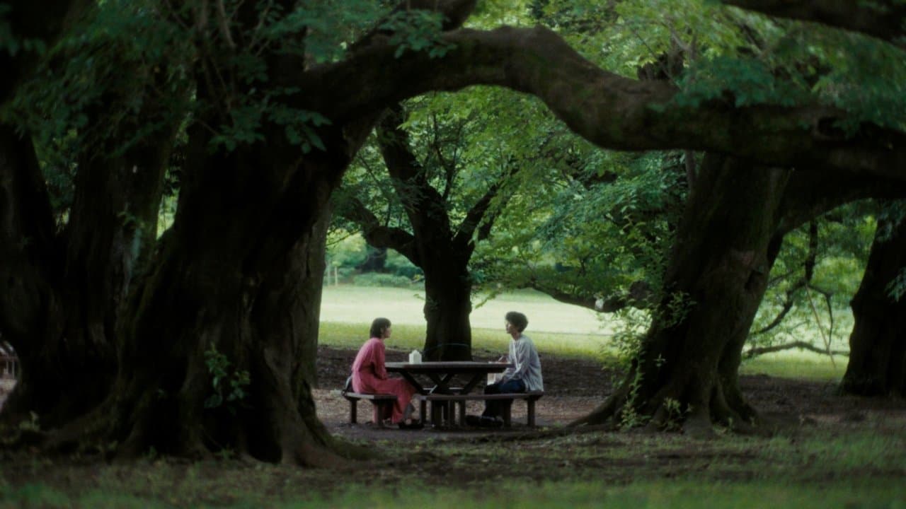 猫を放つの背景画像