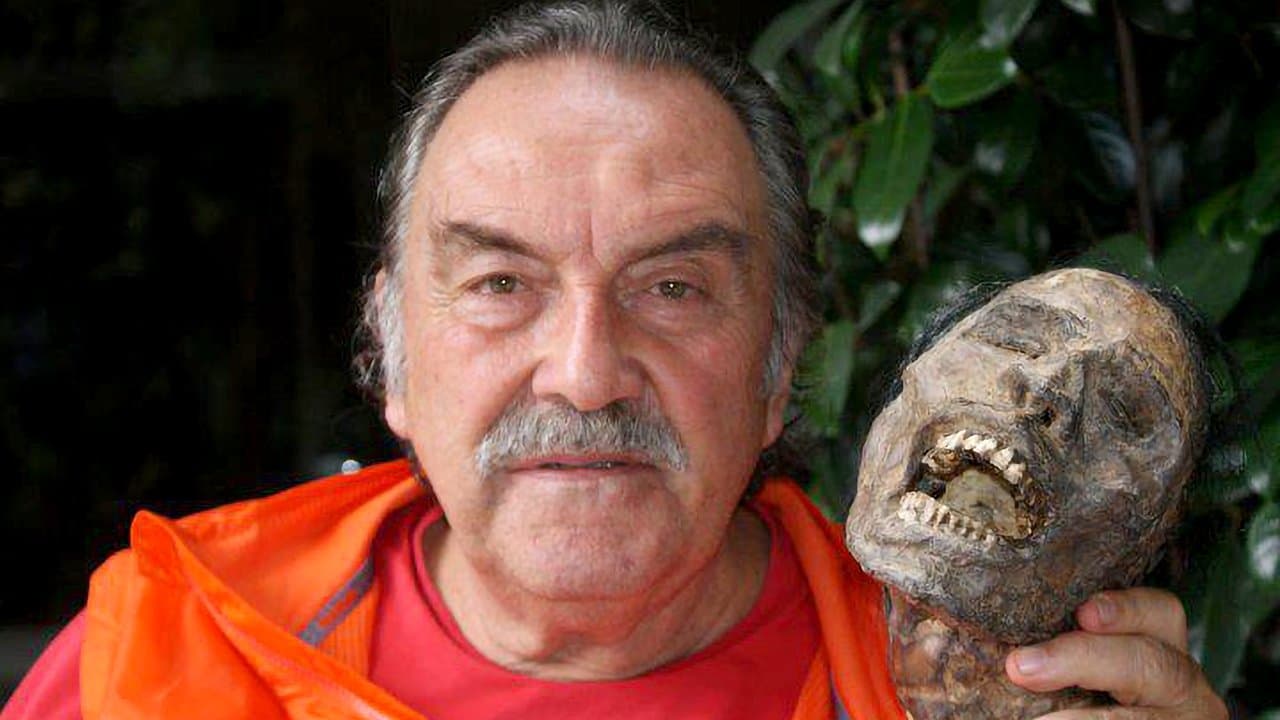 Desde dentroの背景画像