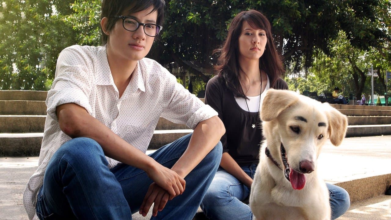 ความจำสั้น แต่รักฉันยาวの背景画像