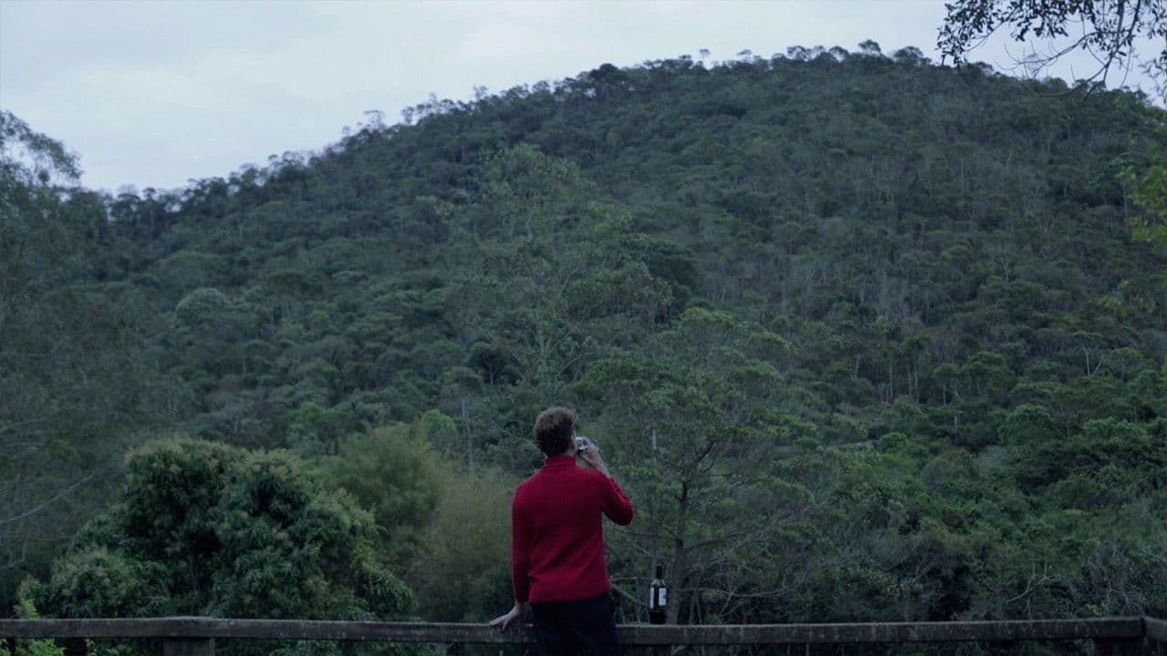 Amofinadoの背景画像