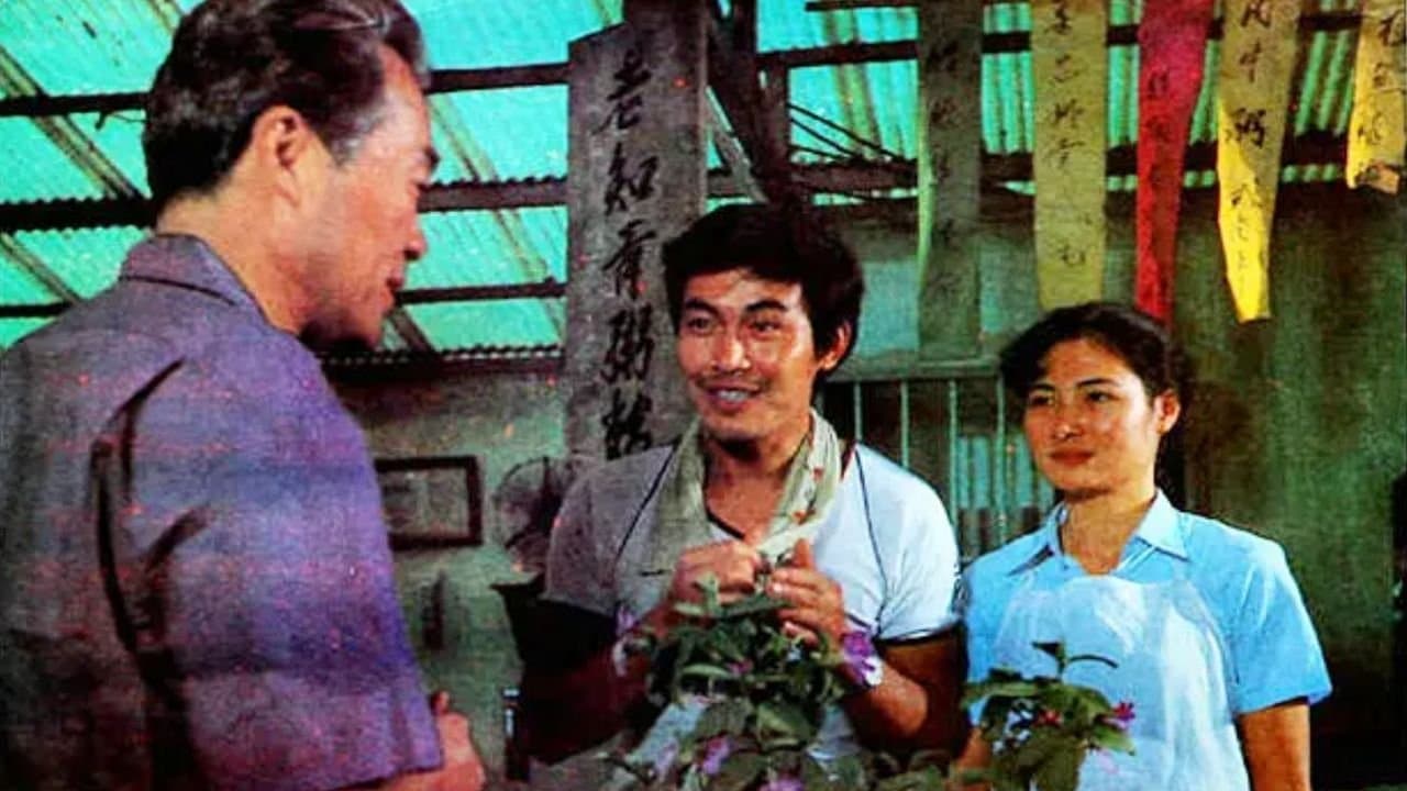 南方的岸の背景画像