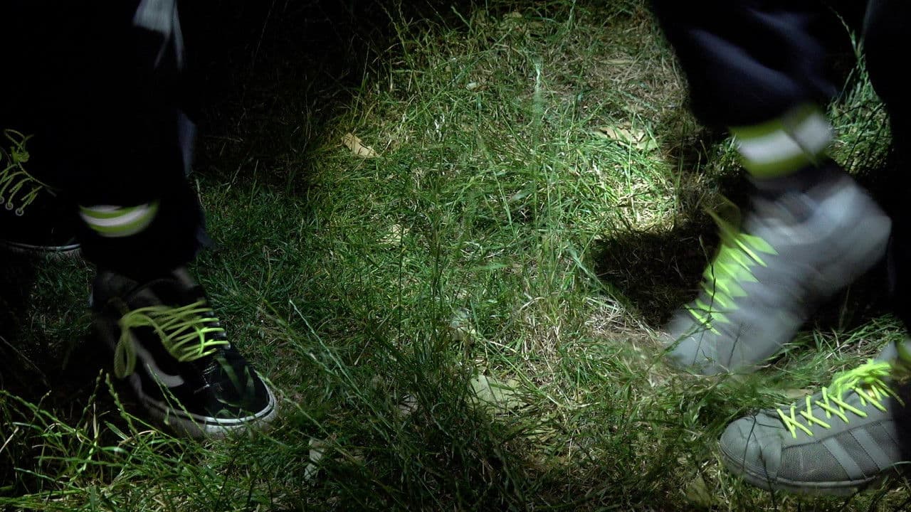 Toad Danceの背景画像