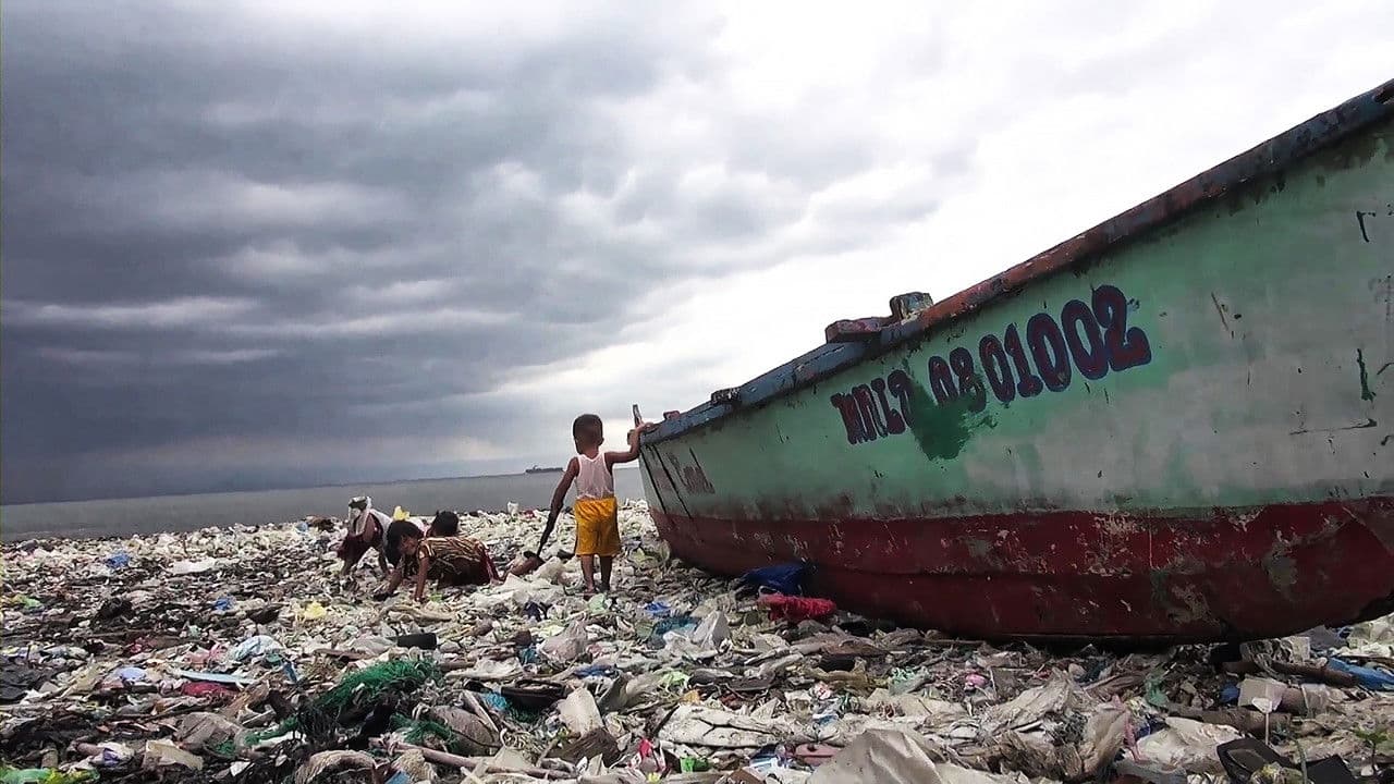 바세코의 아이들の背景画像