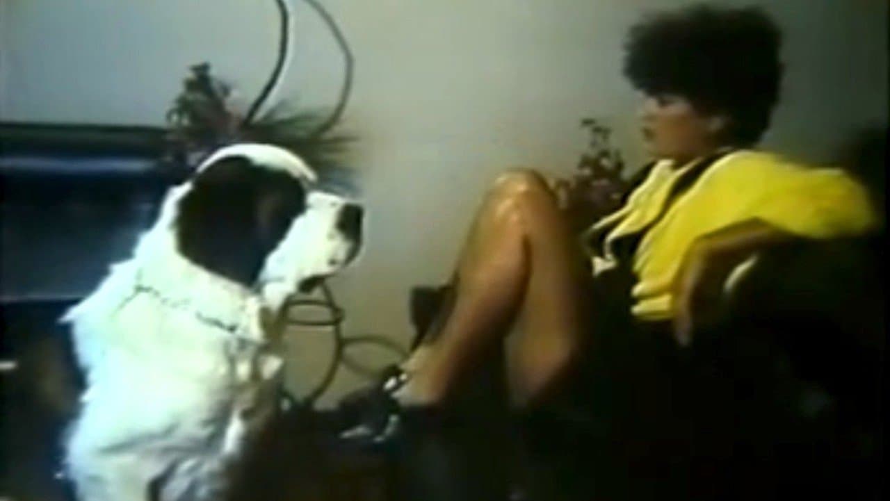 Meu Cachorro, Meu Amanteの背景画像