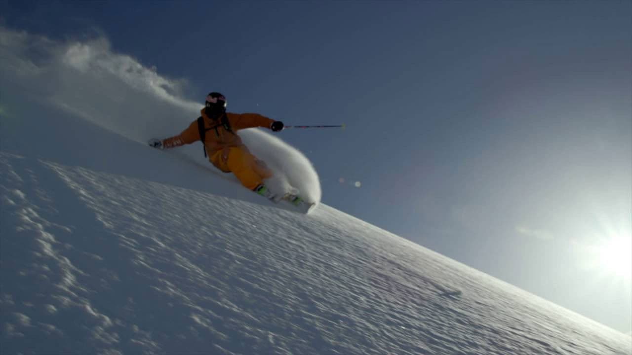 Days of My Youthの背景画像