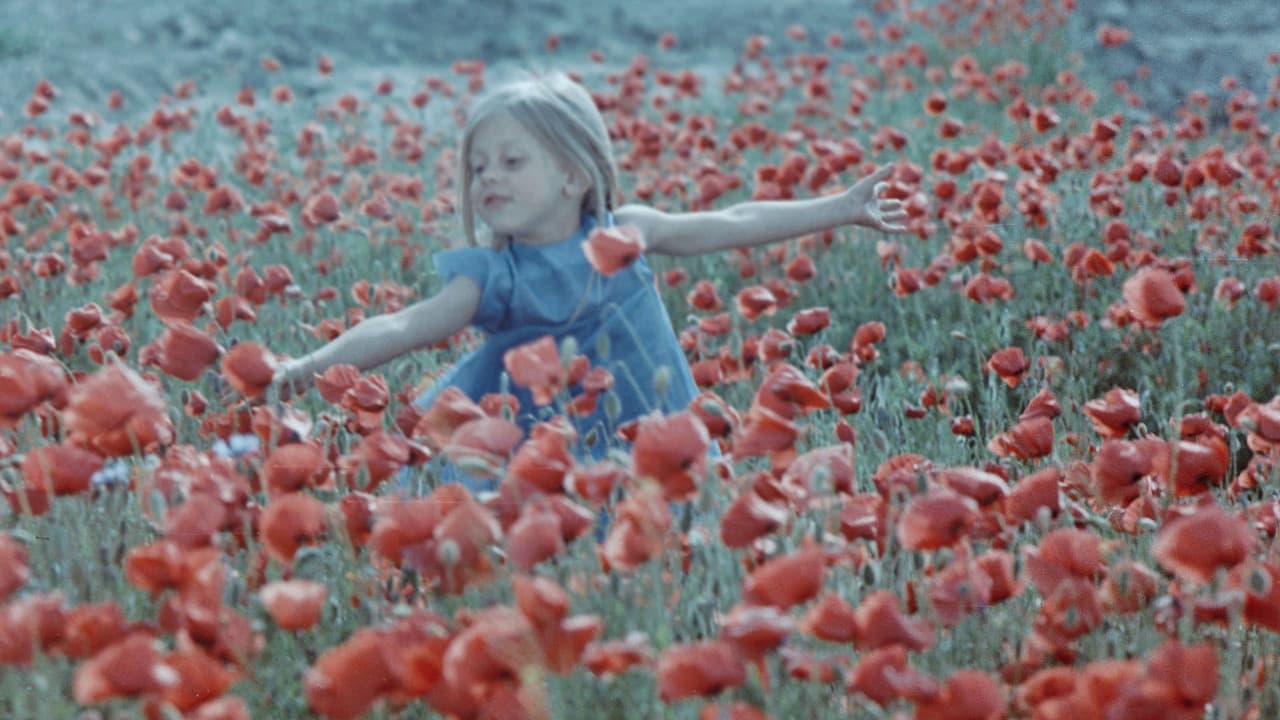 Värvilised unenäodの背景画像