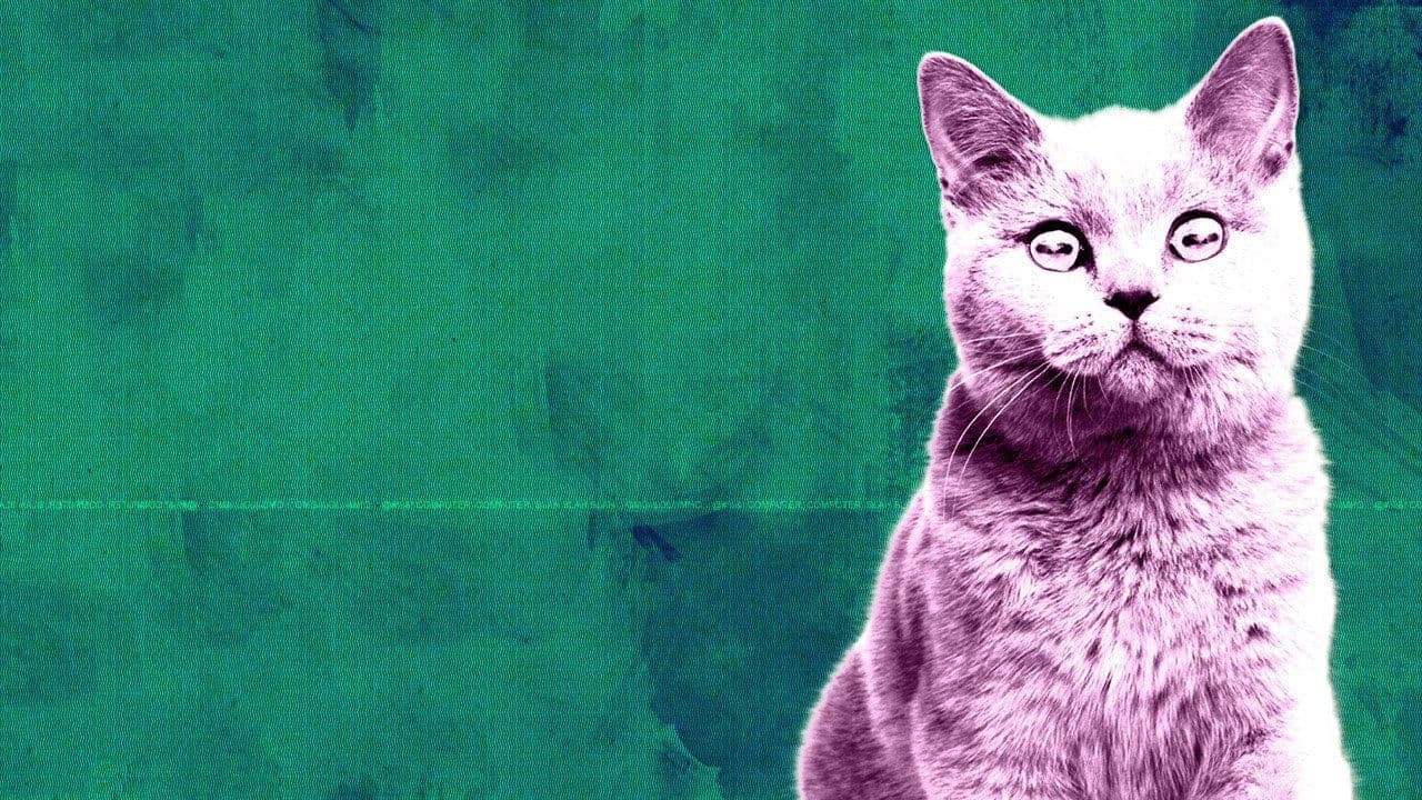 Off the Airの背景画像