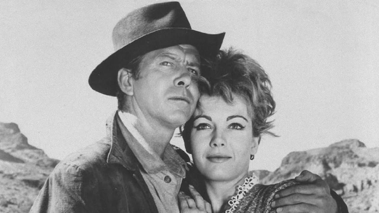 The Purple Hillsの背景画像