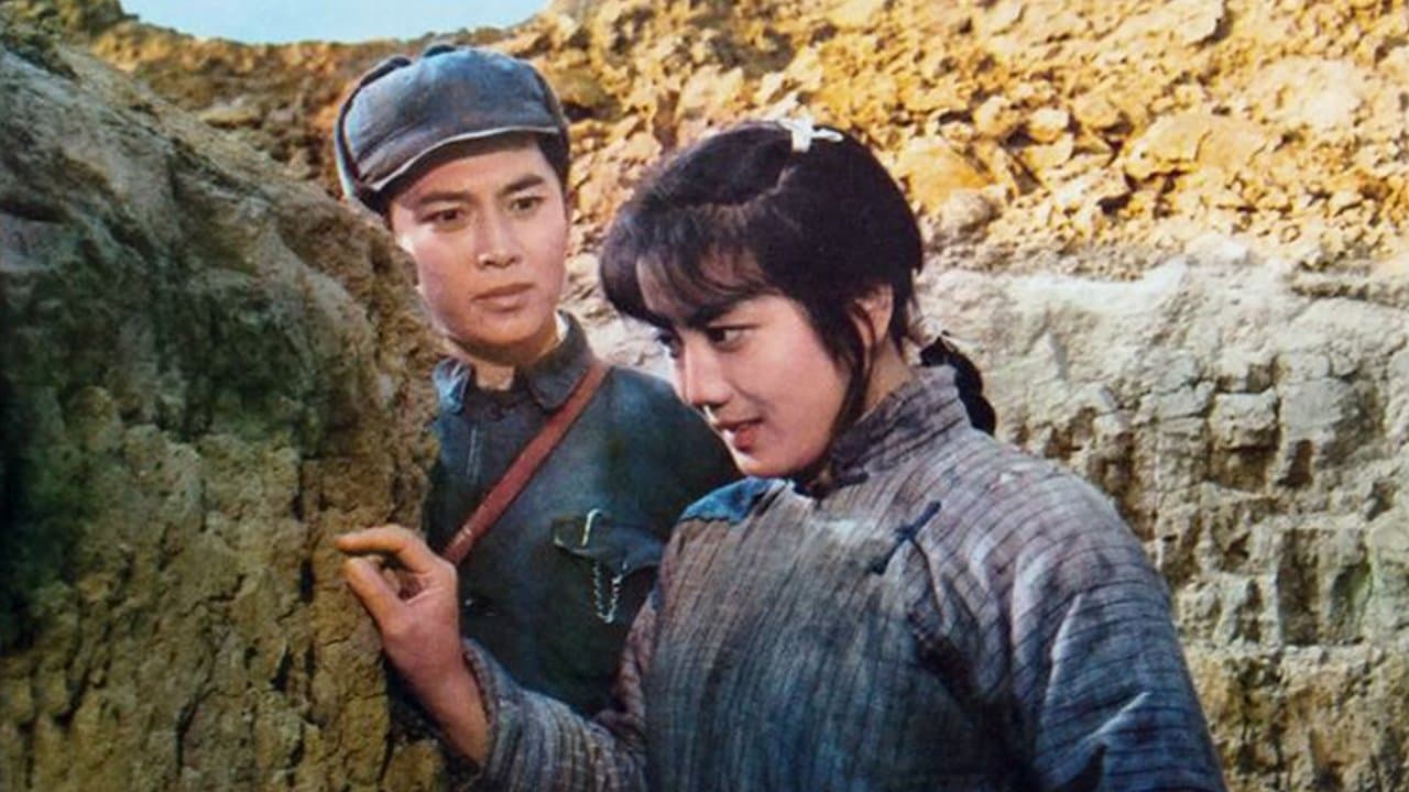 今夜星光灿烂の背景画像