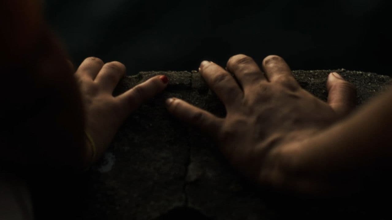 Museu das Minhas Memóriasの背景画像