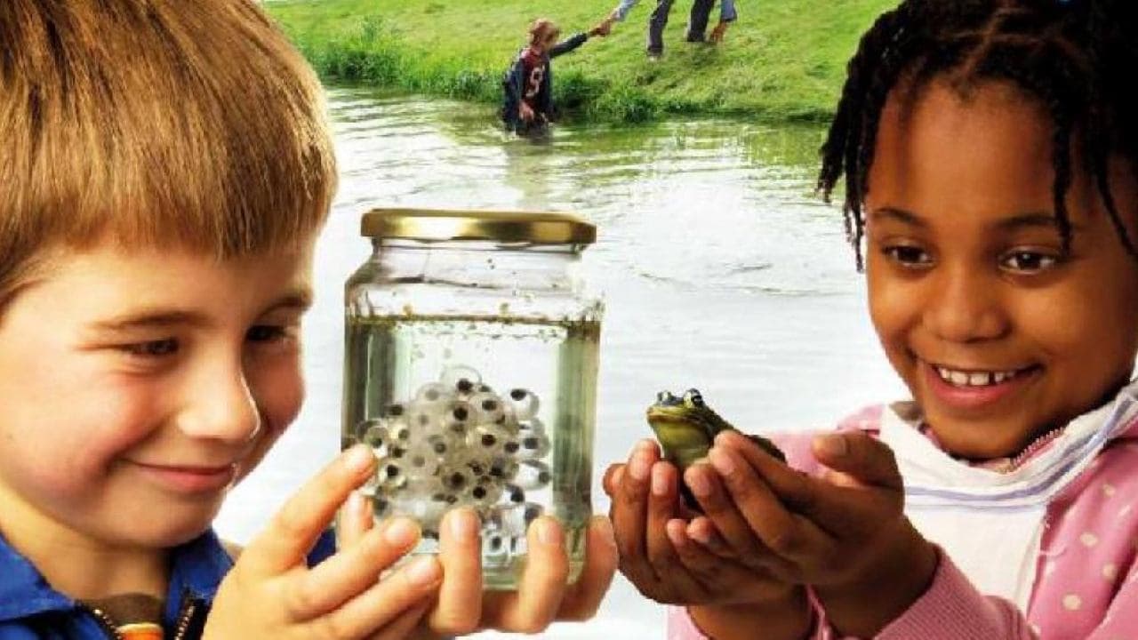 Kikkerdrilの背景画像