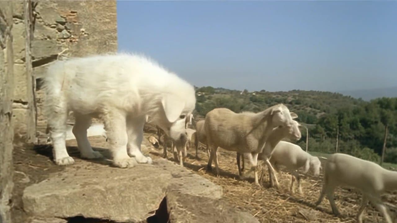 A Dog's Lifeの背景画像