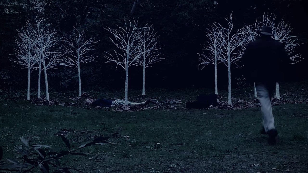 Queen of Hearts: A Twin Peaks Fan Filmの背景画像