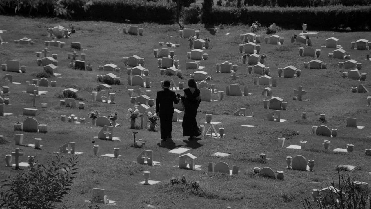 El encantador señor Brambilaの背景画像