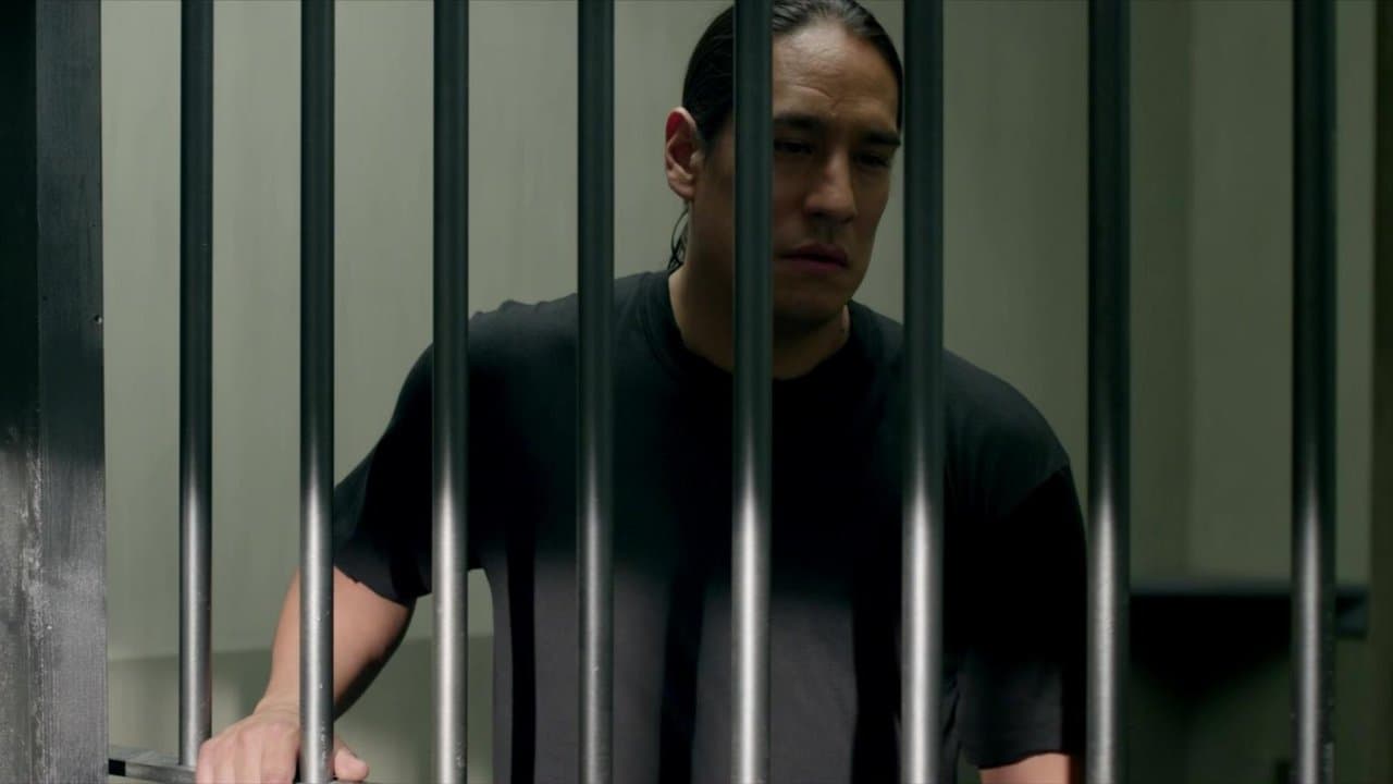 The Activistの背景画像