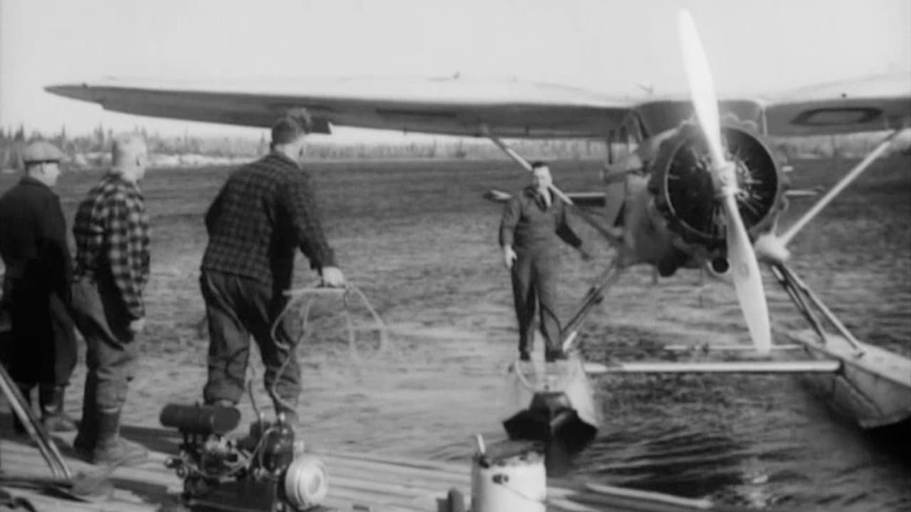 The Forest Commandosの背景画像